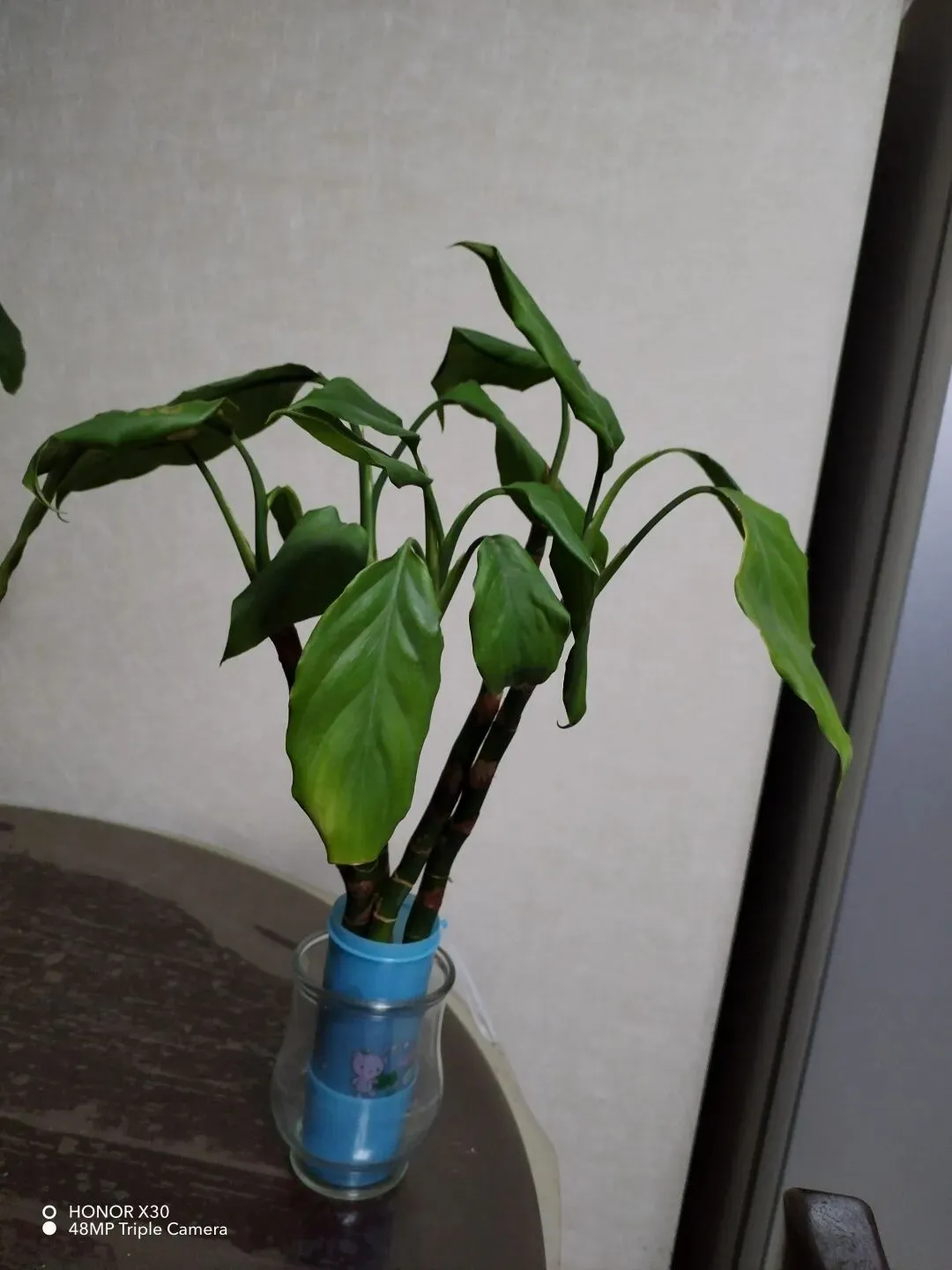 《中考英语作文“提分公式”:5步写出老师忍不住打高分的文章》 第2张