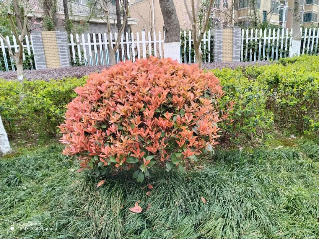 《中考英语作文“提分公式”:5步写出老师忍不住打高分的文章》 第3张