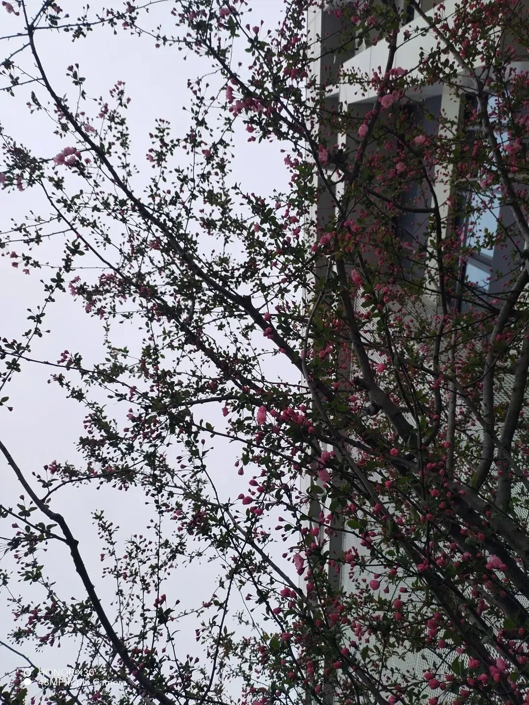 《中考英语作文“提分公式”:5步写出老师忍不住打高分的文章》 第4张