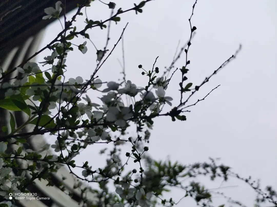 《中考英语作文“提分公式”:5步写出老师忍不住打高分的文章》 第5张