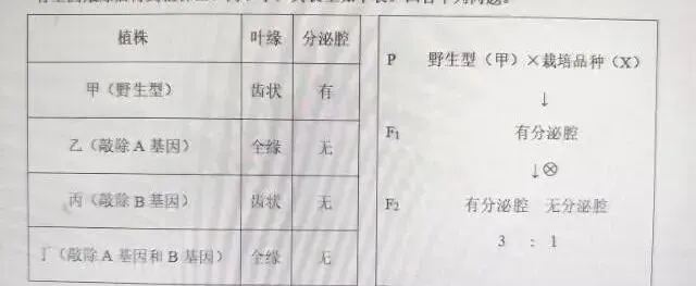 一道典型遗传高考真题评析 第1张 一道典型遗传高考真题评析 第1张