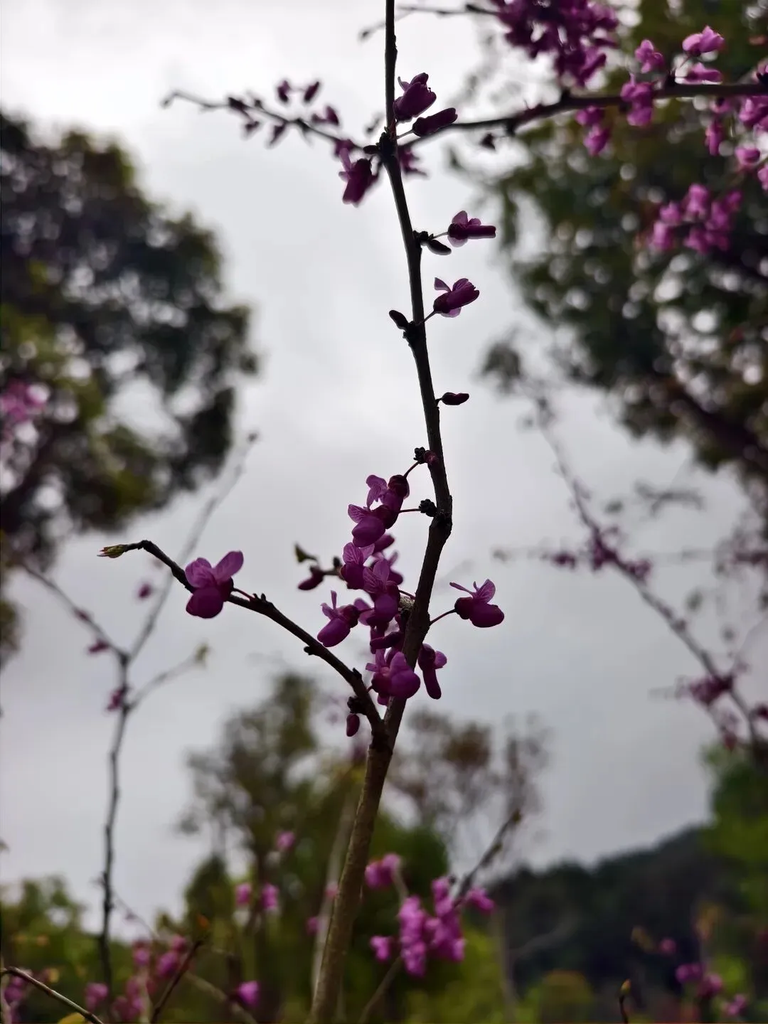 2026届南京市、盐城市高三年级第一次模拟考试英语试题词汇二次开发 第1张 2026届南京市、盐城市高三年级第一次模拟考试英语试题词汇二次开发 第1张