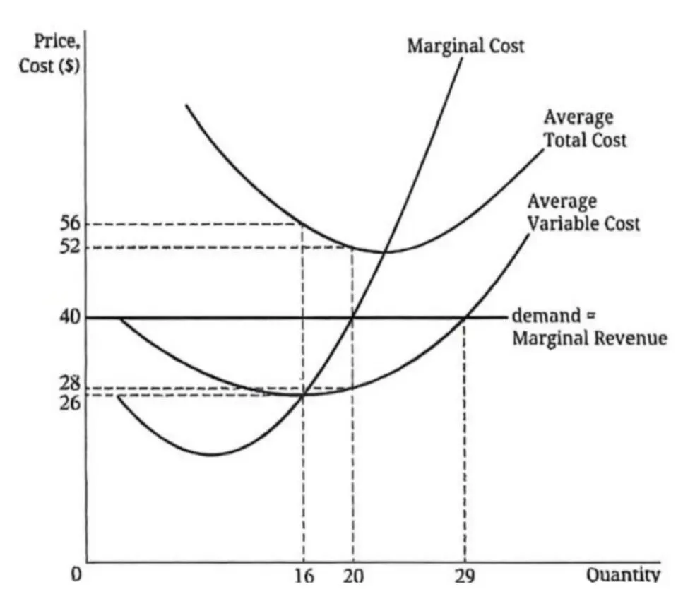 AP微观经济学2025年真题中的图形题 第2张