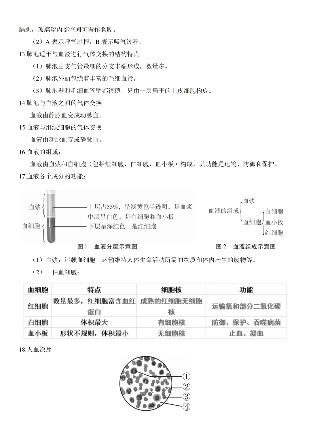 2026中考生物知识点全梳理——主题五 人的生理与健康 第4张