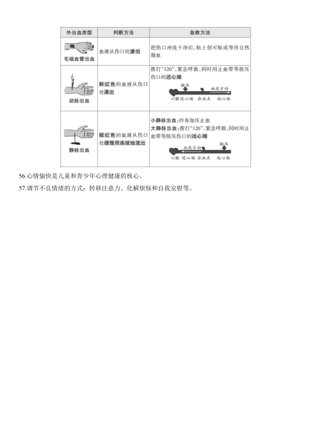 2026中考生物知识点全梳理——主题五 人的生理与健康 第15张
