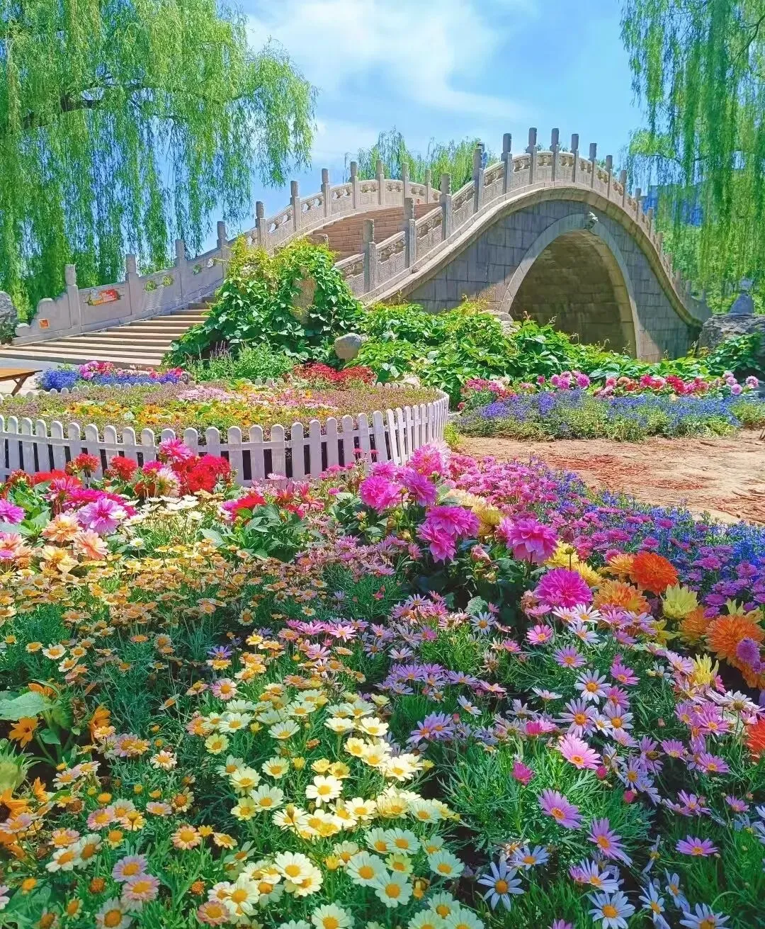 每天一句话,记完中考2000词,第九十六天 第1张