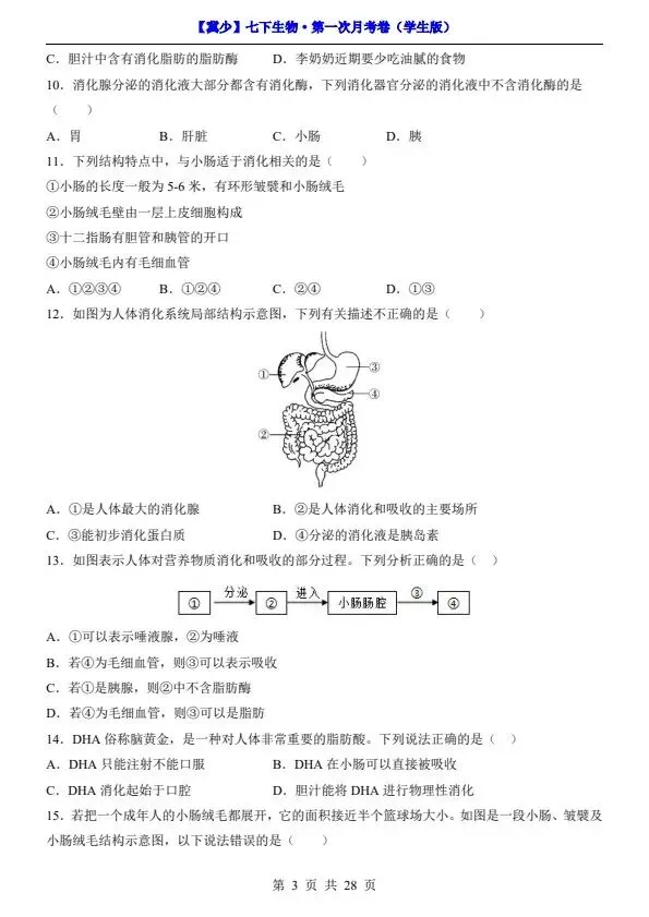 26春七年级下册冀少版生物第一次月考试卷(含答案+答题卡)完整电子版可打印 第7张