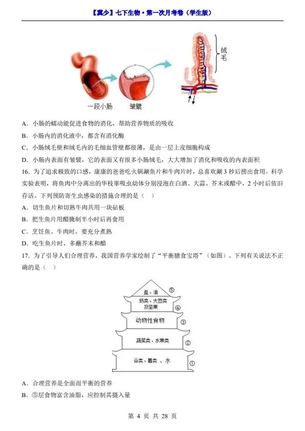 26春七年级下册冀少版生物第一次月考试卷(含答案+答题卡)完整电子版可打印 第8张