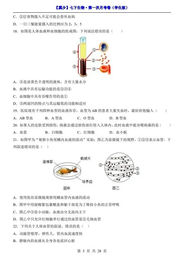 26春七年级下册冀少版生物第一次月考试卷(含答案+答题卡)完整电子版可打印 第9张