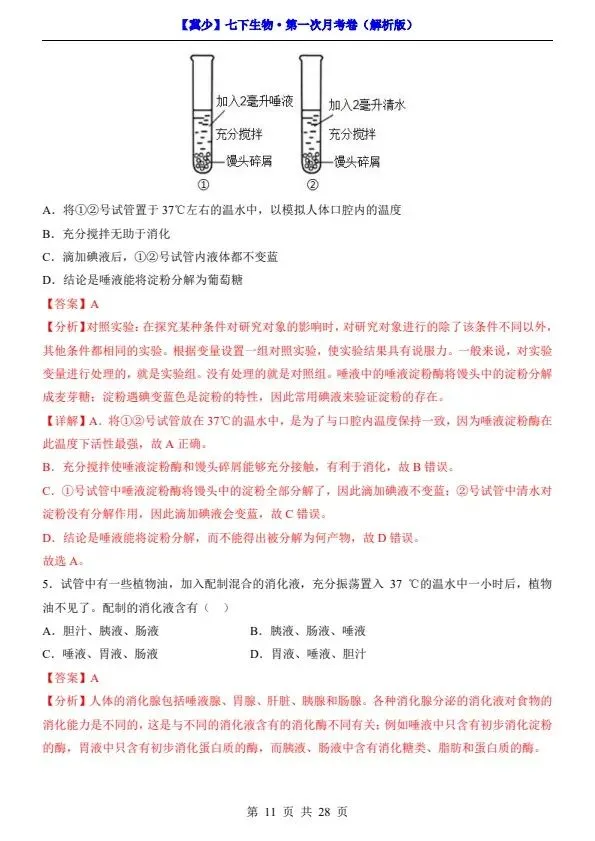 26春七年级下册冀少版生物第一次月考试卷(含答案+答题卡)完整电子版可打印 第13张
