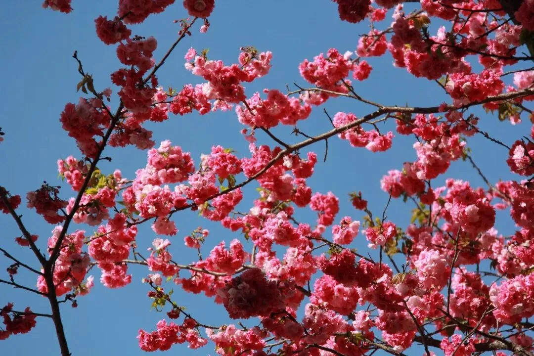 周报 第二十四期||我与中考话心声 第2张 周报 第二十四期||我与中考话心声 第2张