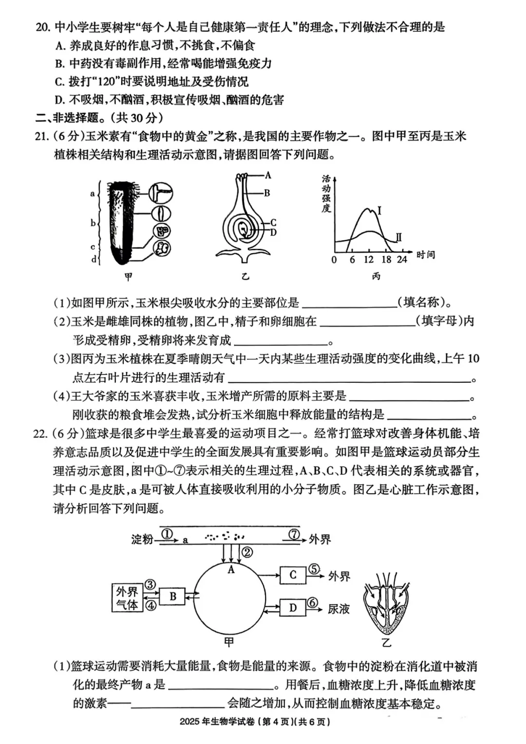 中考真题·2025年河南省中考·八年级生物试卷和答案(2020-2025生物·地理·考试·高清可下载) 第5张
