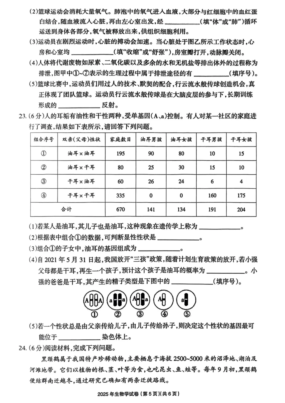 中考真题·2025年河南省中考·八年级生物试卷和答案(2020-2025生物·地理·考试·高清可下载) 第6张