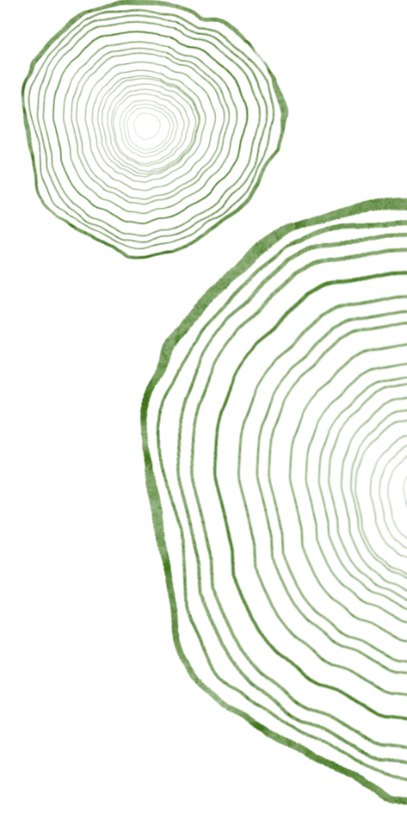 聚焦课堂实效 提质体育中考——湖南湘江新区中学体育名师工作室2026年3月教研活动 第3张