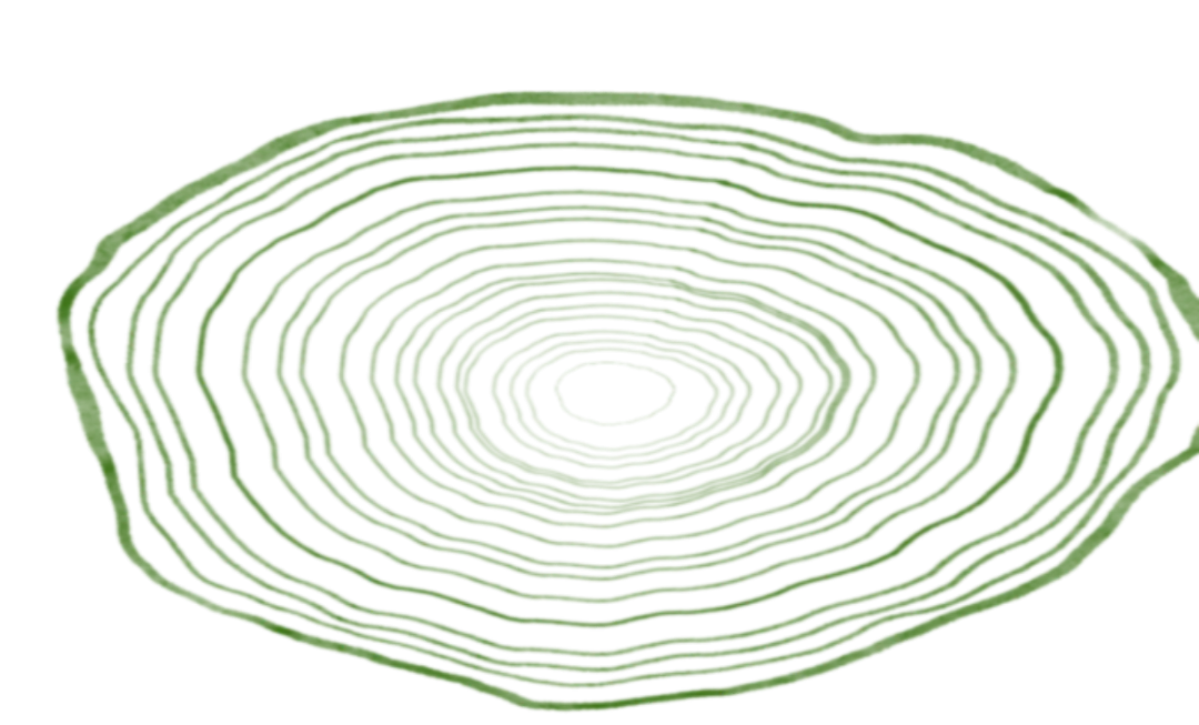 聚焦课堂实效 提质体育中考——湖南湘江新区中学体育名师工作室2026年3月教研活动 第4张