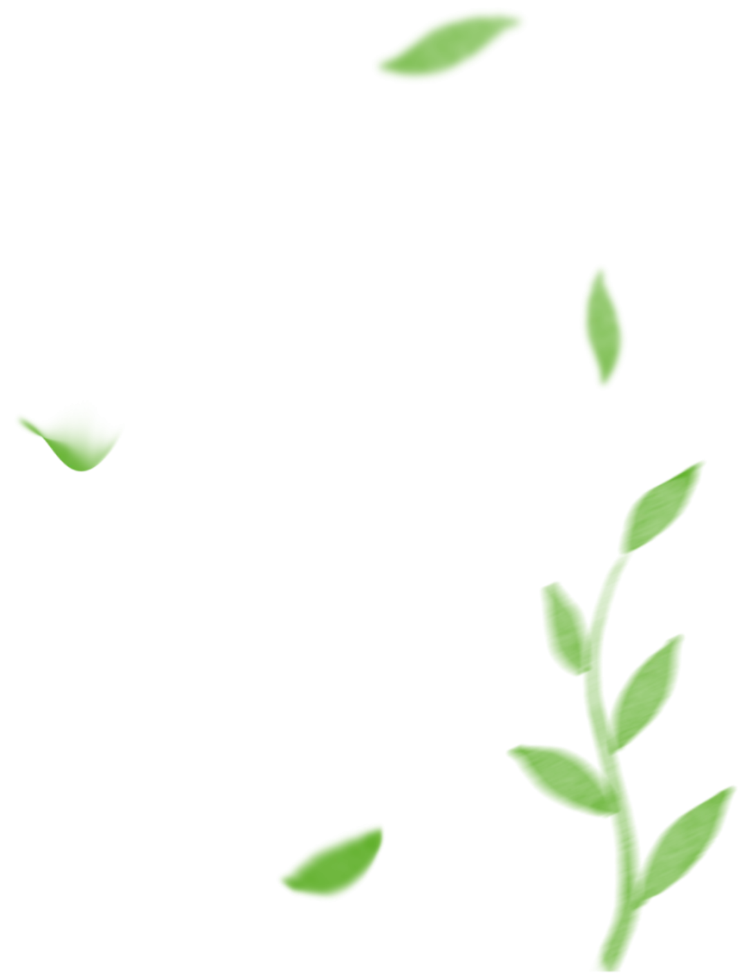 聚焦课堂实效 提质体育中考——湖南湘江新区中学体育名师工作室2026年3月教研活动 第5张