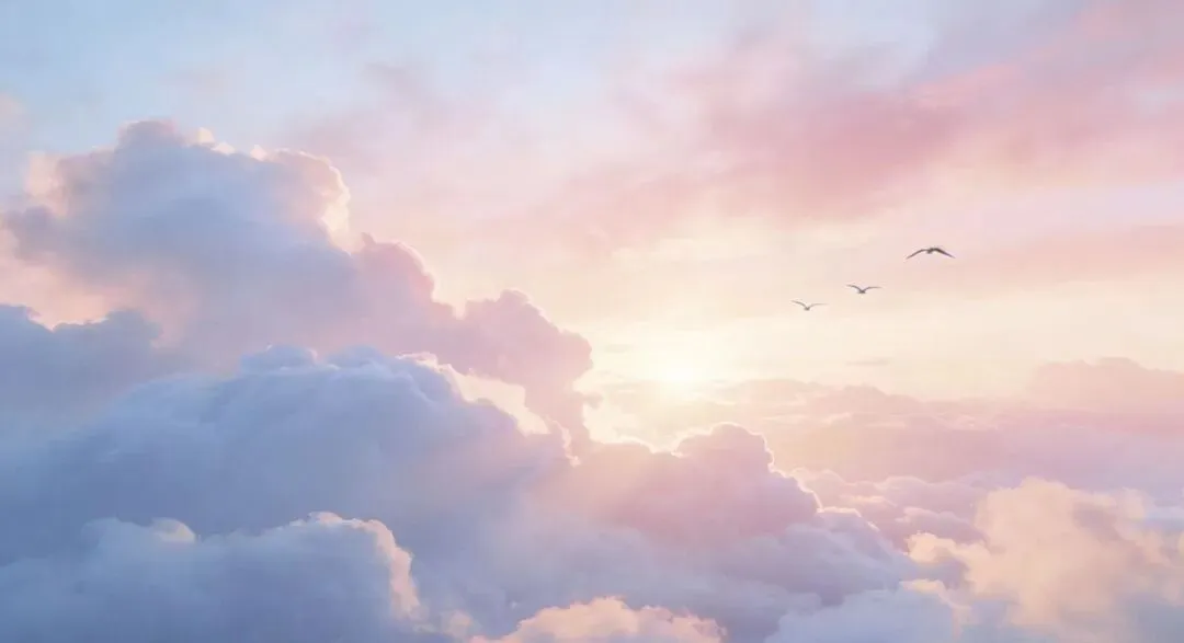 中考体育不参加升不了高中? 第7张 中考体育不参加升不了高中? 第7张