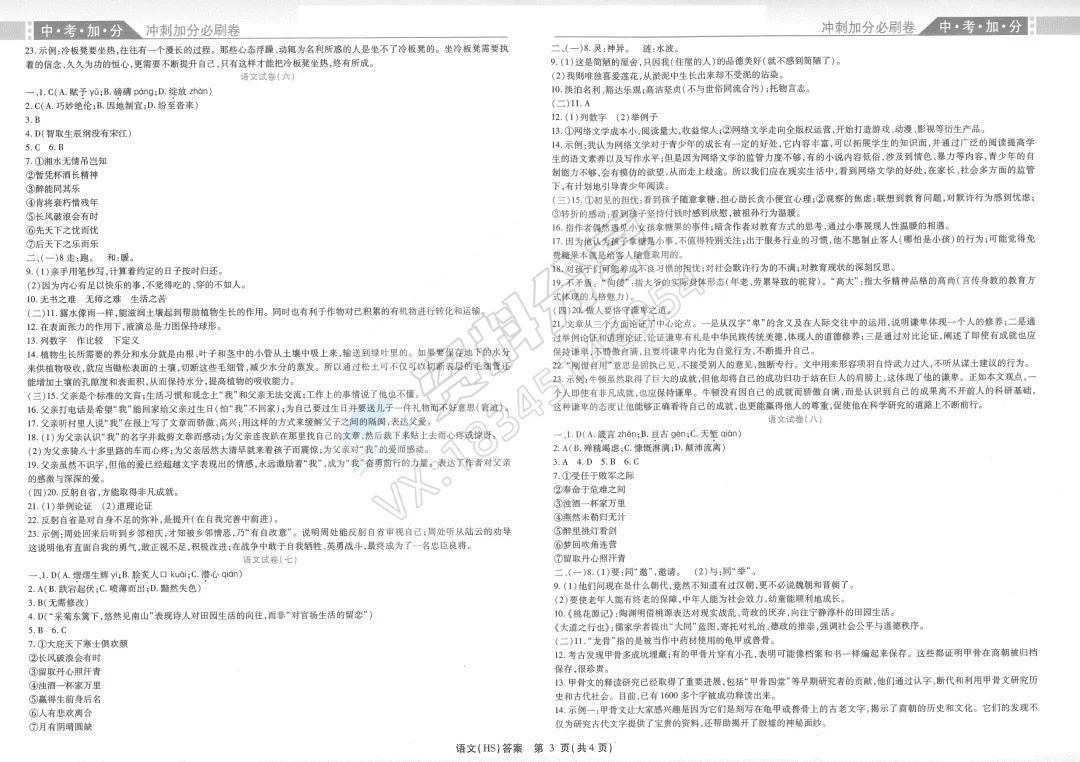 2026新世博全练试题 语文中考模拟试卷 第6张