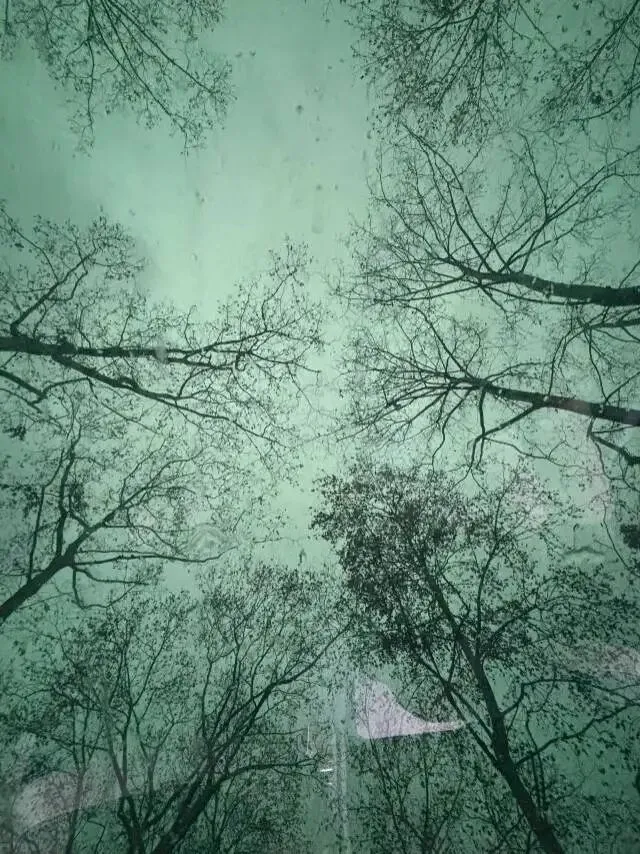 家有准备中考的家长们,真实想法是什么? 第1张 家有准备中考的家长们,真实想法是什么? 第1张