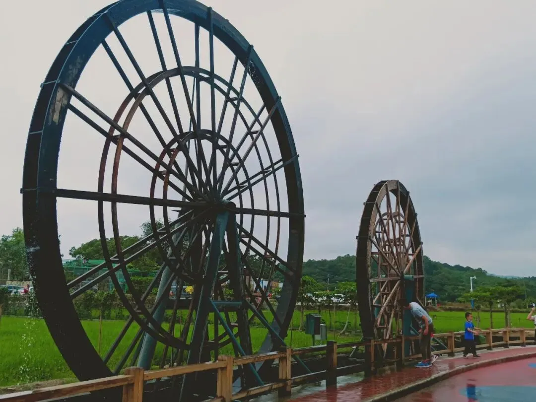 知白守黑,不断跳出舒适圈,他2025年中考语文111分||佳作56 第2张 知白守黑,不断跳出舒适圈,他2025年中考语文111分||佳作56 第2张