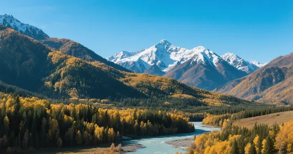 【中山中考】2026中山市高中录取分数线(参考版) 第13张