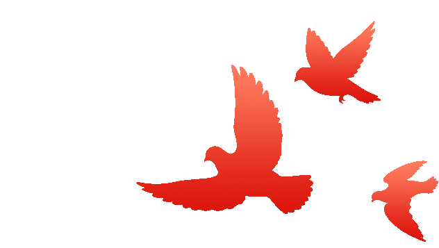 聚智共进备中考,匠心教研促提升——我校圆满承办宜宾市2026春初三语文市级集体备课活动 第8张