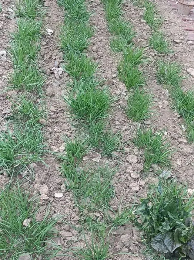 2026年真题:有居民反馈地铁站设置不合理,针对最后一公里存在的难题,领导安排你做调研,请问你怎么做? 第2张