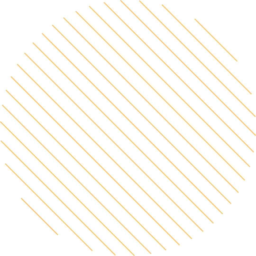 不焦虑陪伴,为中考学子保驾护航 第6张 不焦虑陪伴,为中考学子保驾护航 第6张