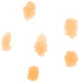 心怀暖阳,循梦而行|公益中学2026届中考动员大会圆满举行 第27张