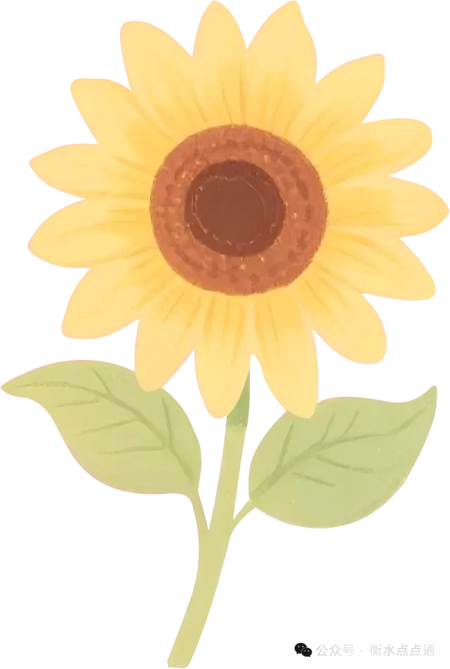 【中考压轴题】2026中考数学压轴题,附参考答案 第11张