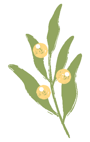 深耕课堂研策略 聚力中考提素养 ——舟山市“新课标·新中考”历史与社会学科教学培训活动侧记 第30张