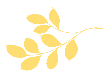 精准把脉新中考,赋能备考新征程 ——惠城区2026年初中历史备考培训活动成功举行 第8张 精准把脉新中考,赋能备考新征程 ——惠城区2026年初中历史备考培训活动成功举行 第8张