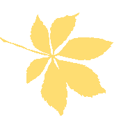 精准把脉新中考,赋能备考新征程 ——惠城区2026年初中历史备考培训活动成功举行 第9张 精准把脉新中考,赋能备考新征程 ——惠城区2026年初中历史备考培训活动成功举行 第9张