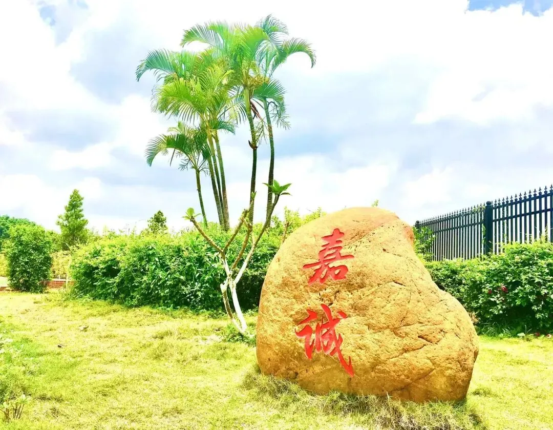 【美丽•嘉诚】打响中考第一枪,体育先行铸辉煌——石碁教育指导中心陆海老师莅临嘉诚学校指导体育备考 第22张