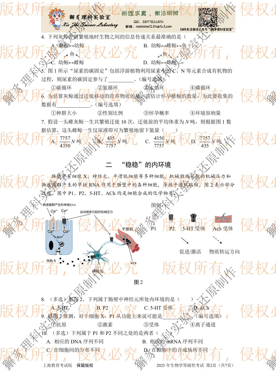 【真题】2025年上海市等级考生物学试卷 第3张