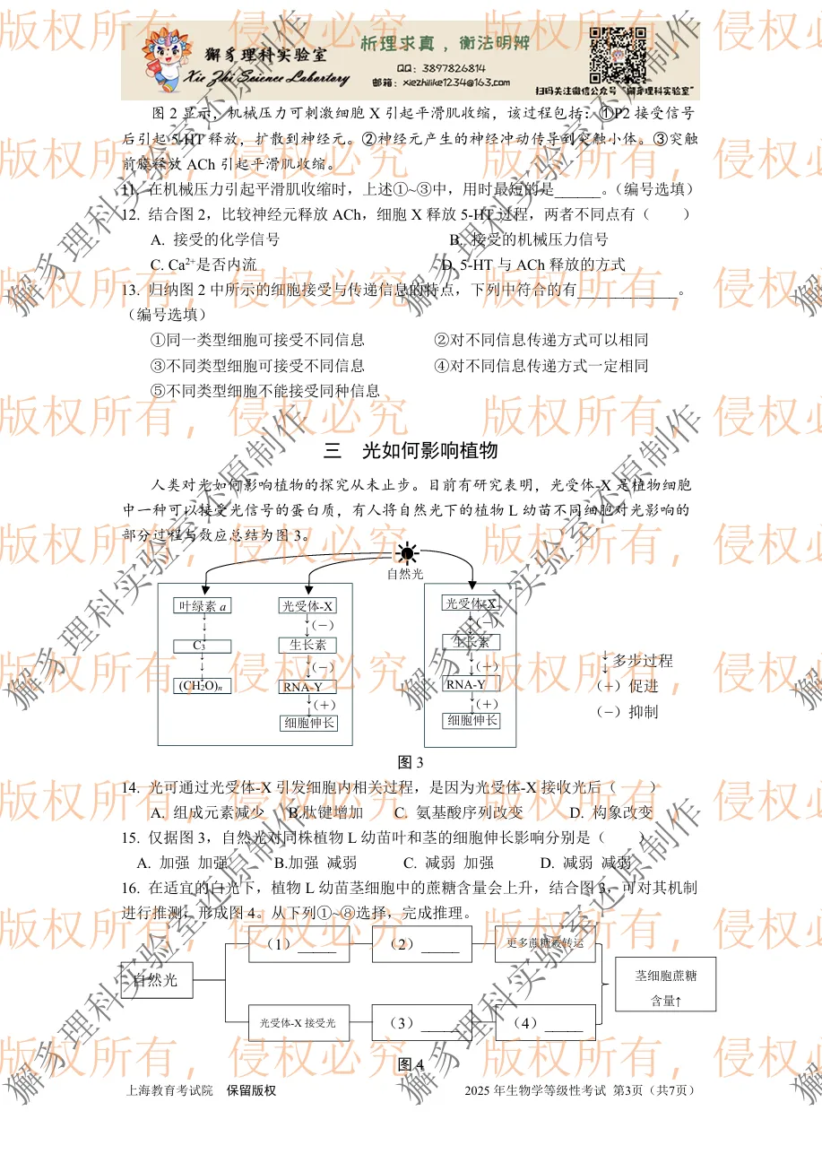 【真题】2025年上海市等级考生物学试卷 第4张