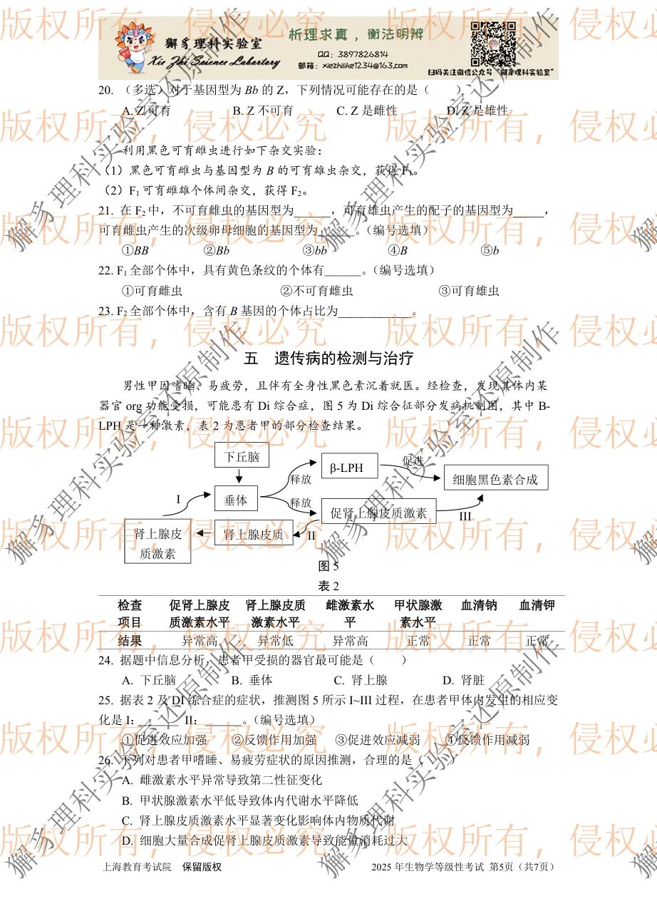 【真题】2025年上海市等级考生物学试卷 第6张