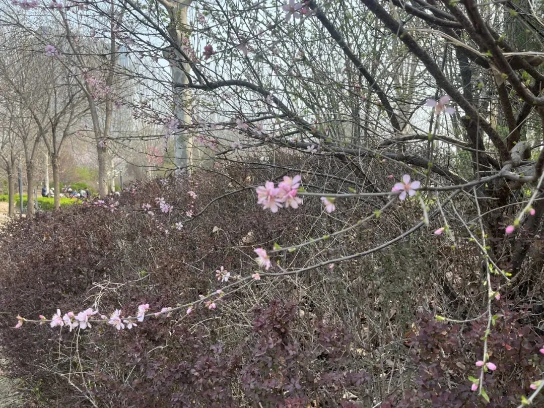 参加中考研讨会,助力化学学科复习指导 第5张