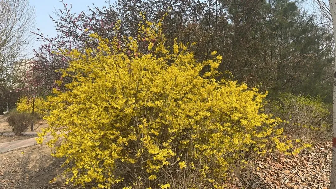 参加中考研讨会,助力化学学科复习指导 第6张