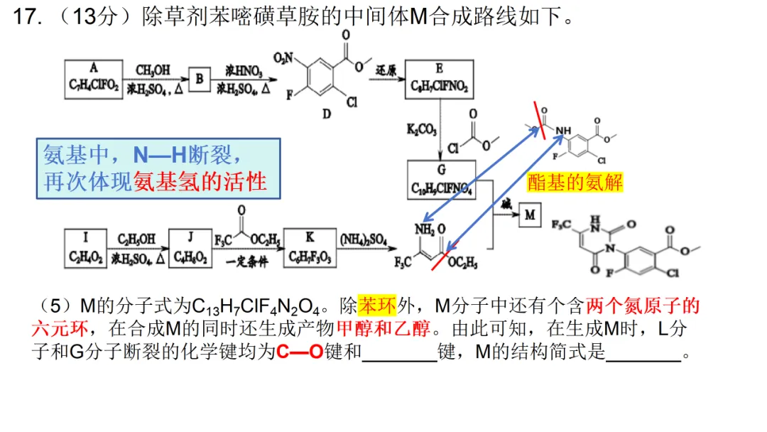 2026高三化学复习优质高考真题讲解2024北京高考化学有机试题讲解(选择11和综合答题17题)(山哥设计) 第10张