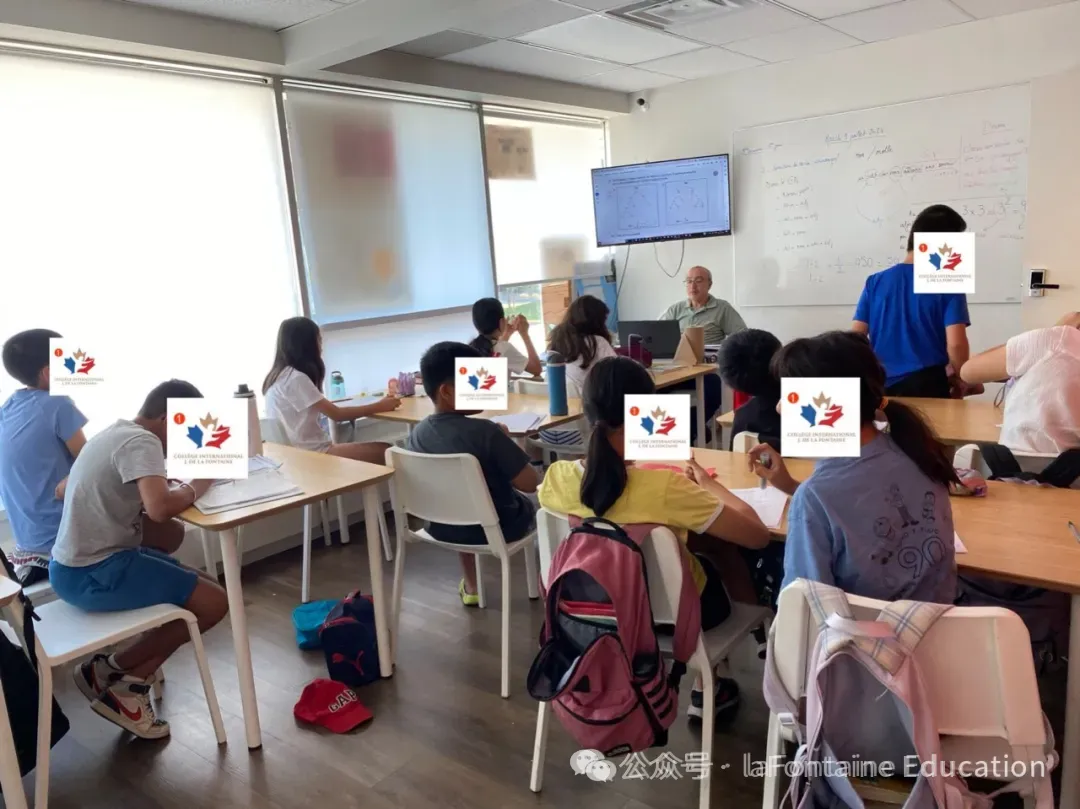 枫丹学院|2026暑期小升初中考班课程报名 第26张