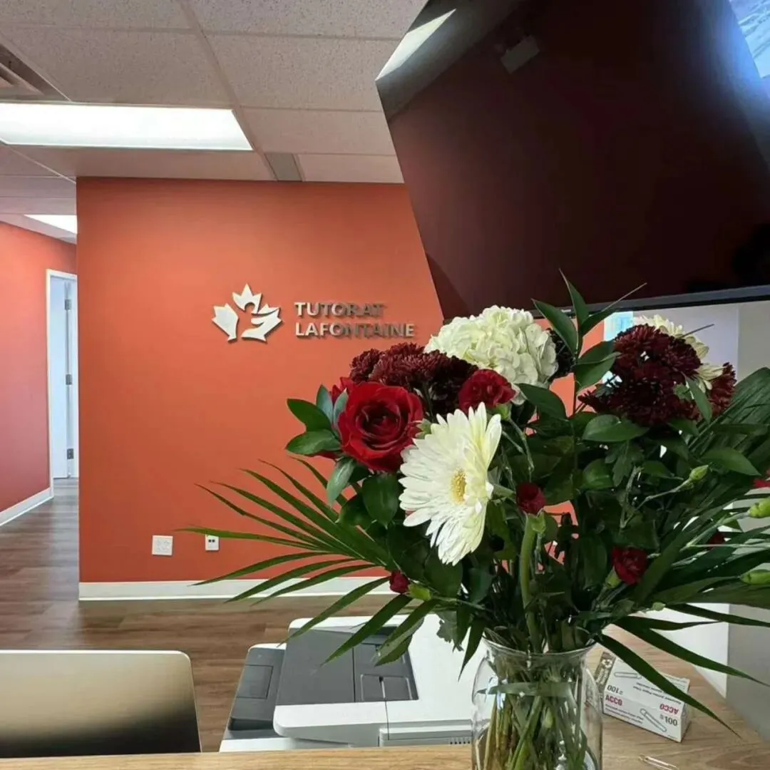 枫丹学院|2026暑期小升初中考班课程报名 第38张