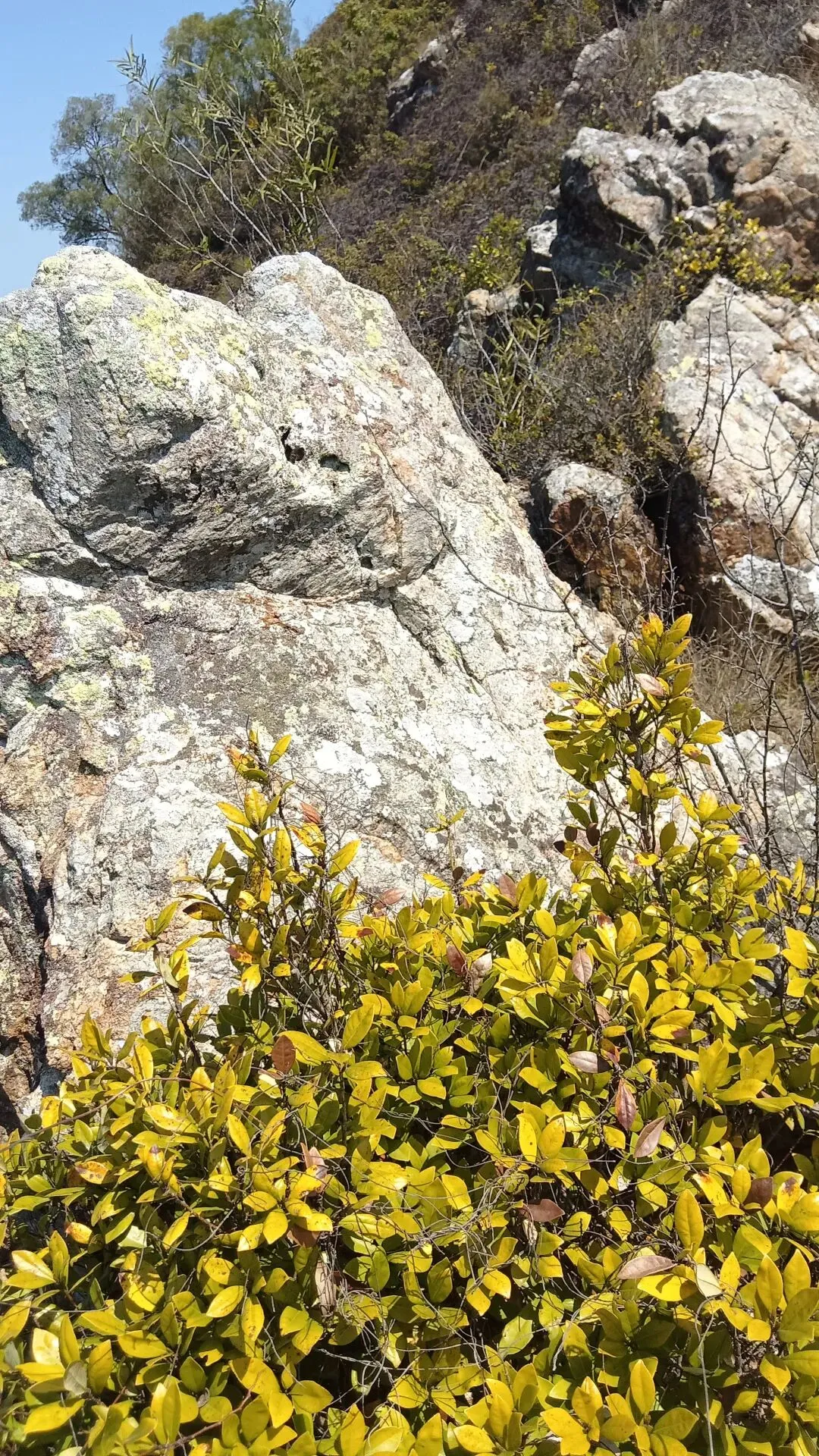 【中考作文】一道挺有意思的中考作文模拟题 第1张