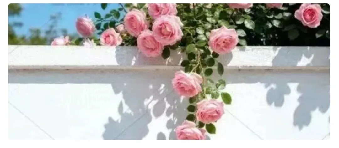 中考必备 九大类主题文言文对比整合 第11张