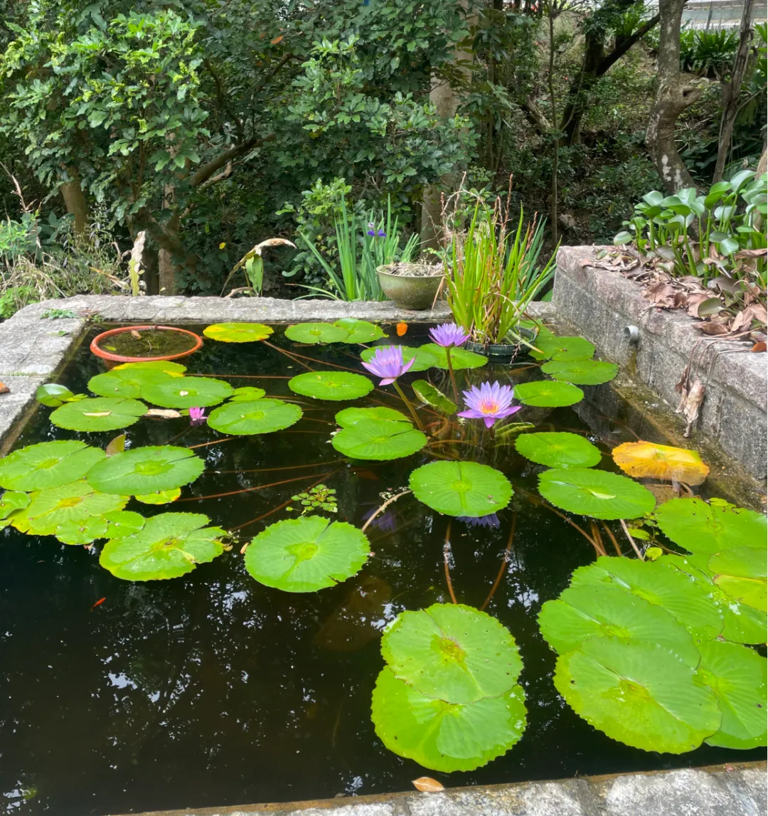 3月28日雅思写作真题Urbanization解析 第22张