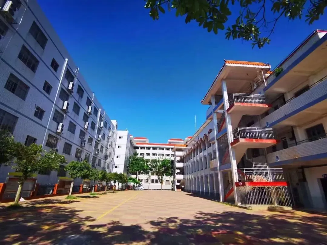 周六10:30直播:道周中学 中考物理专题复习 第7张