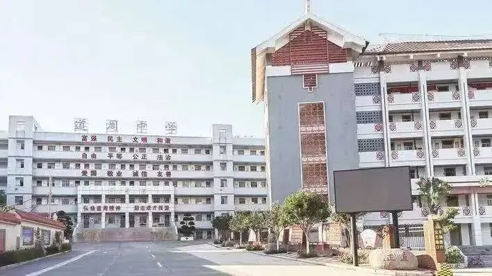 周六10:30直播:道周中学 中考物理专题复习 第10张