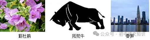 2026年中考语文一模模拟试卷(含答案解析),命中率高,抓紧打印练习! 第5张