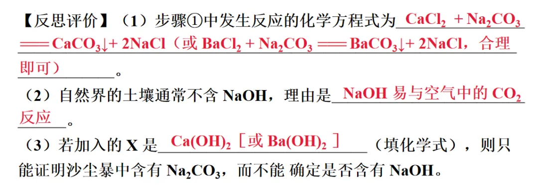 2026年中考化学一轮复习专题八科学探究 第6张