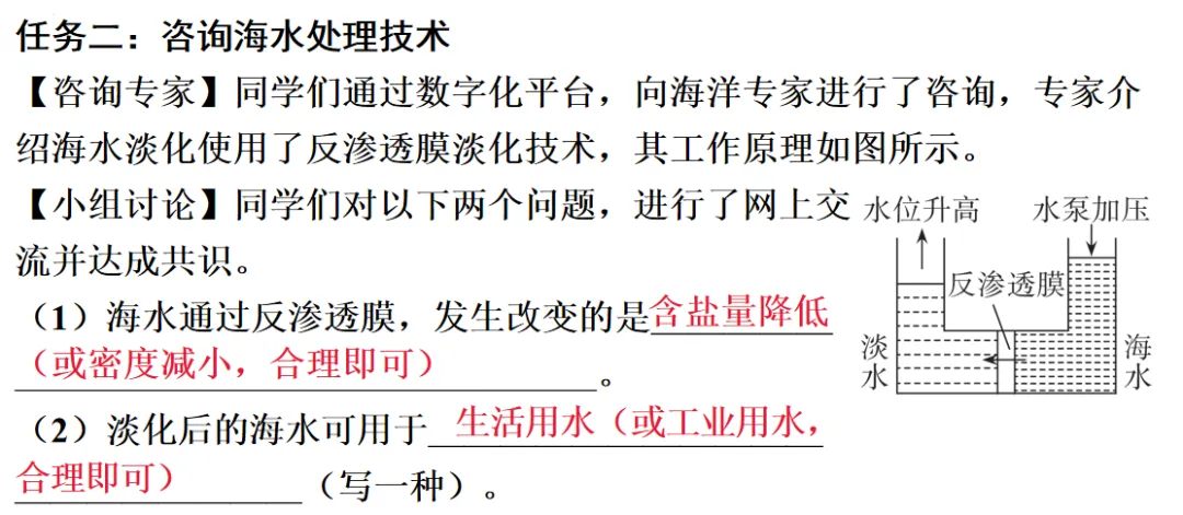 2026年中考化学一轮复习专题八科学探究 第9张